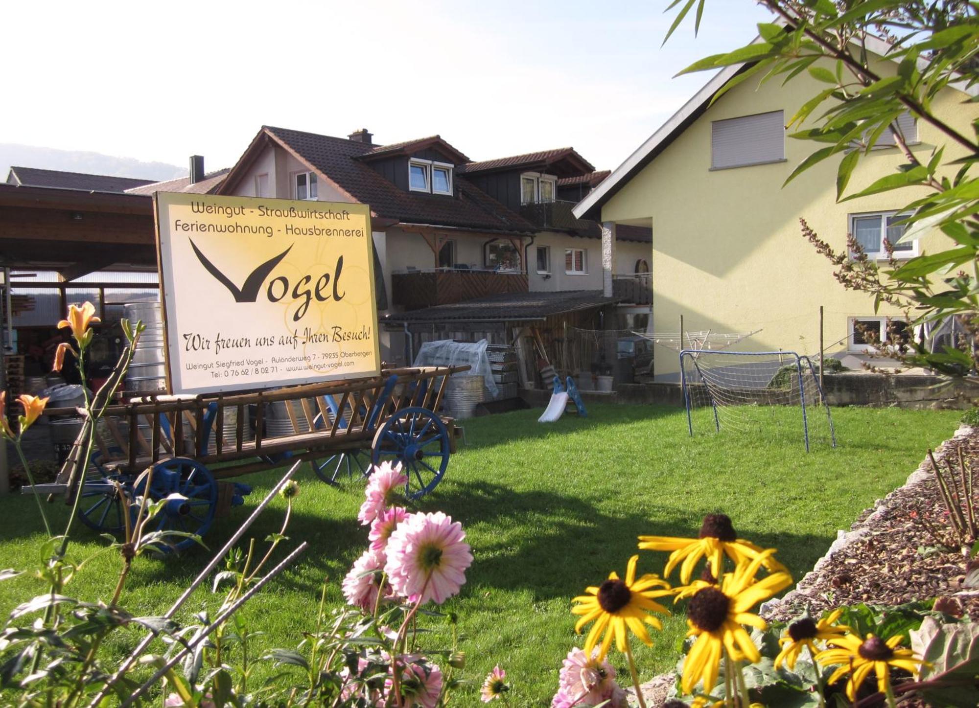 Apartament Weingut & Strausswirtschaft Vogel Vogtsburg im Kaiserstuhl Zewnętrze zdjęcie