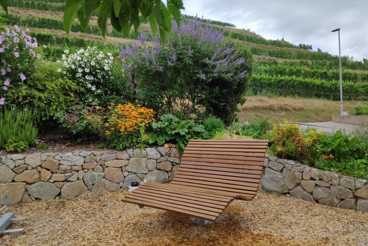 Apartament Weingut & Strausswirtschaft Vogel Vogtsburg im Kaiserstuhl Zewnętrze zdjęcie