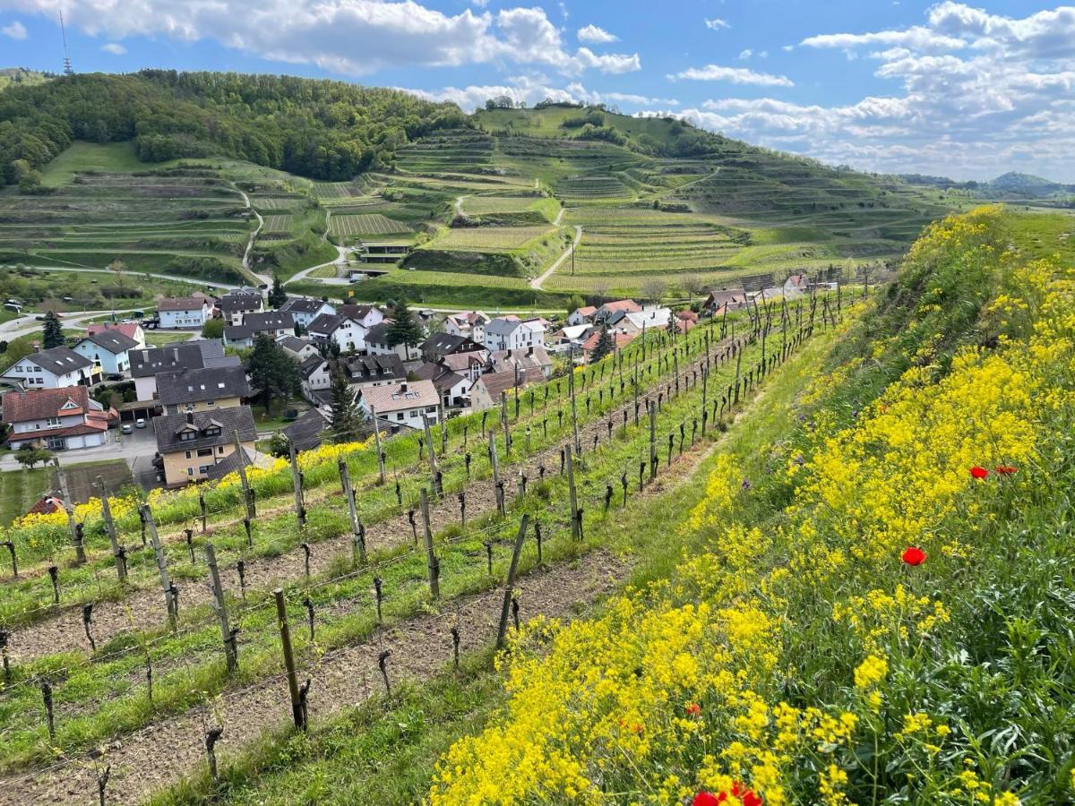 Apartament Weingut & Strausswirtschaft Vogel Vogtsburg im Kaiserstuhl Zewnętrze zdjęcie