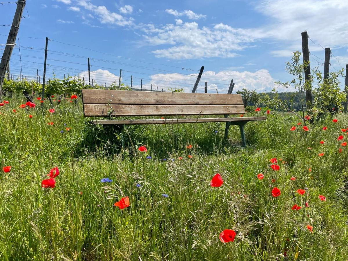 Apartament Weingut & Strausswirtschaft Vogel Vogtsburg im Kaiserstuhl Zewnętrze zdjęcie