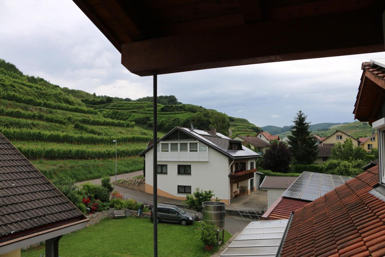 Apartament Weingut & Strausswirtschaft Vogel Vogtsburg im Kaiserstuhl Zewnętrze zdjęcie