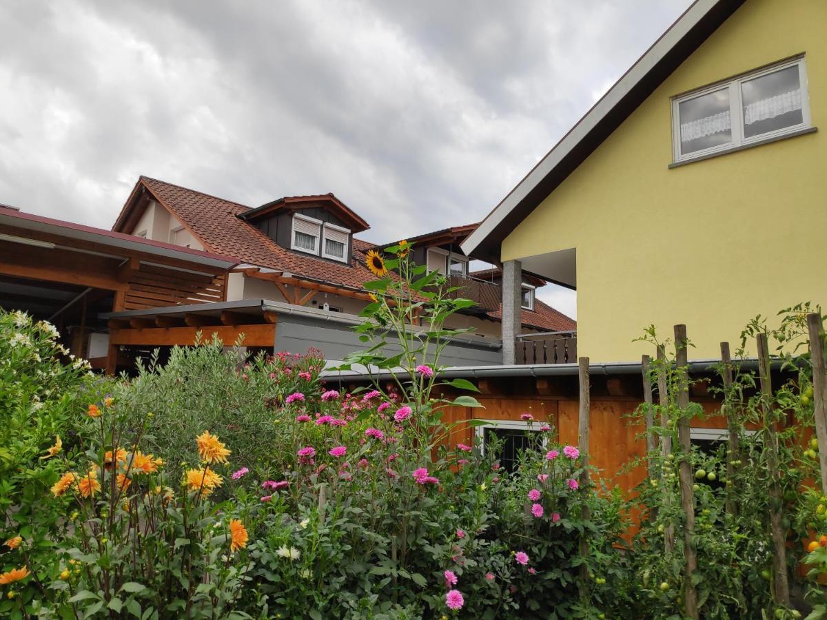 Apartament Weingut & Strausswirtschaft Vogel Vogtsburg im Kaiserstuhl Zewnętrze zdjęcie