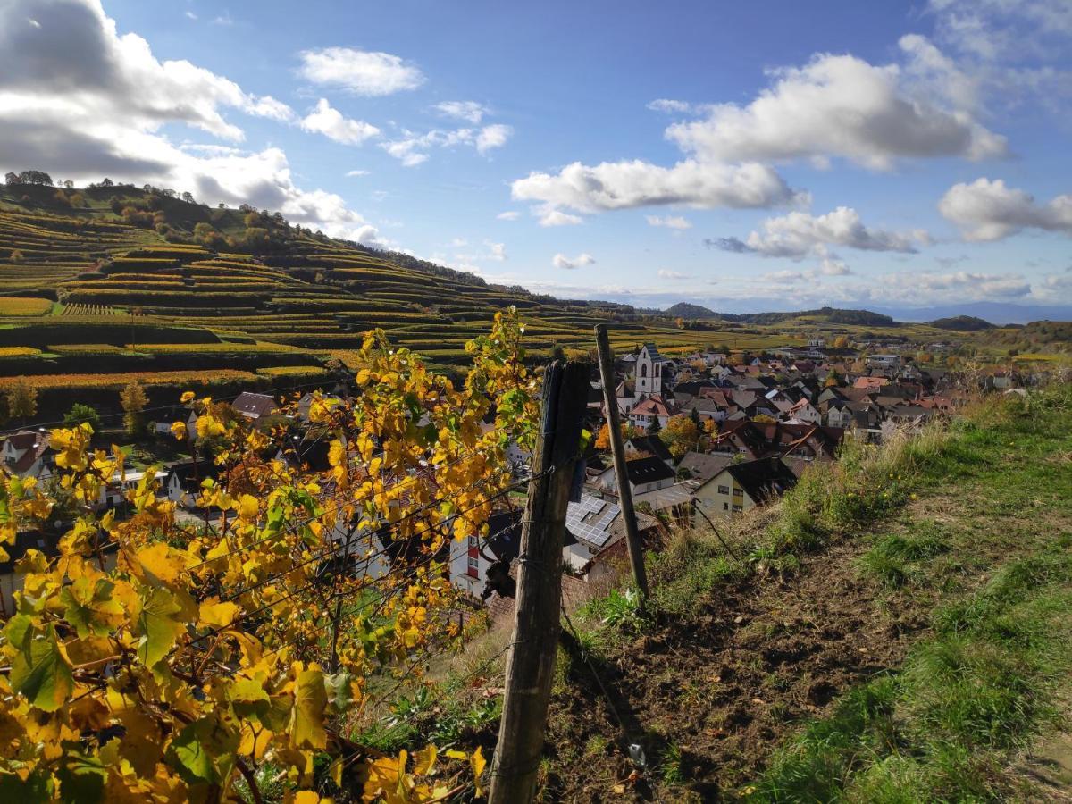 Apartament Weingut & Strausswirtschaft Vogel Vogtsburg im Kaiserstuhl Zewnętrze zdjęcie