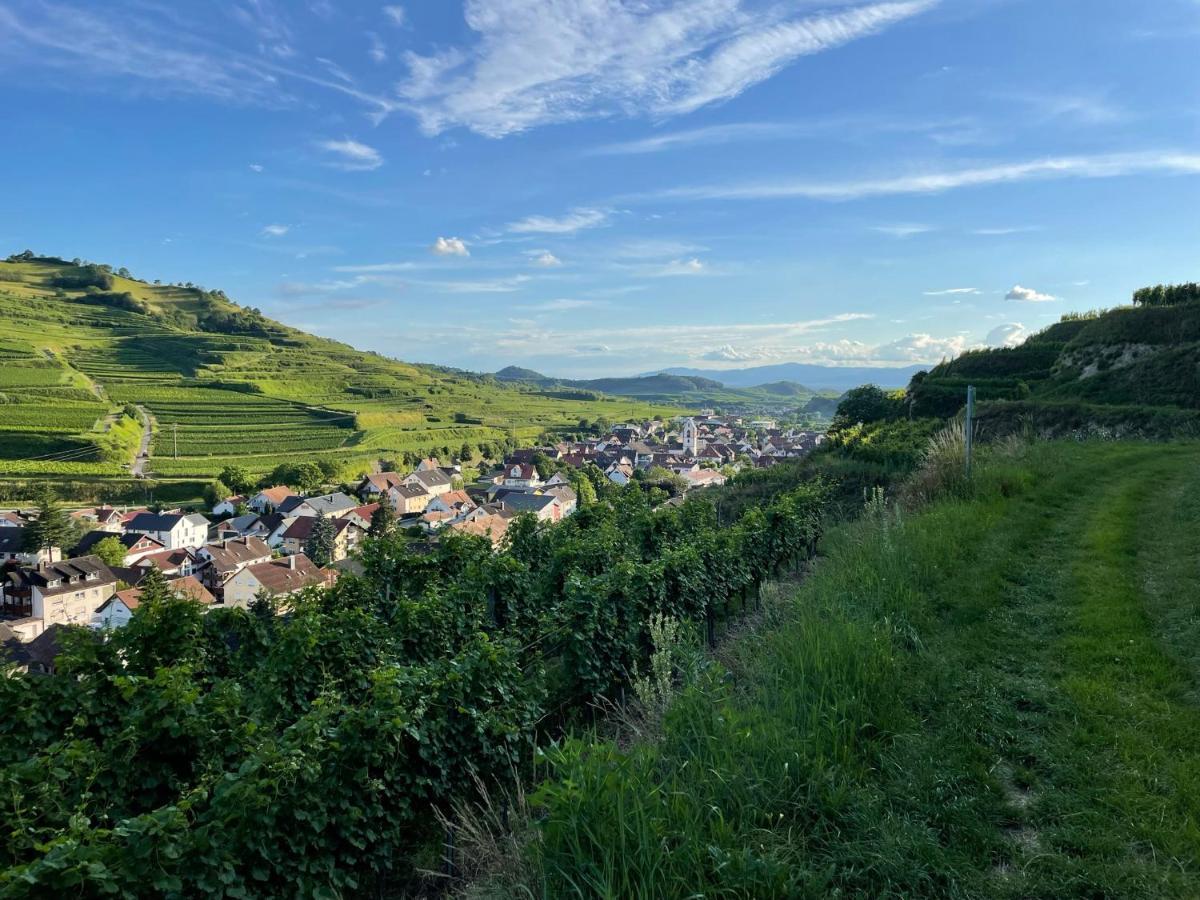 Apartament Weingut & Strausswirtschaft Vogel Vogtsburg im Kaiserstuhl Zewnętrze zdjęcie