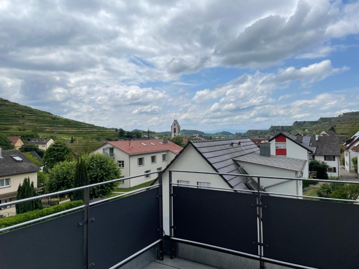 Apartament Weingut & Strausswirtschaft Vogel Vogtsburg im Kaiserstuhl Zewnętrze zdjęcie