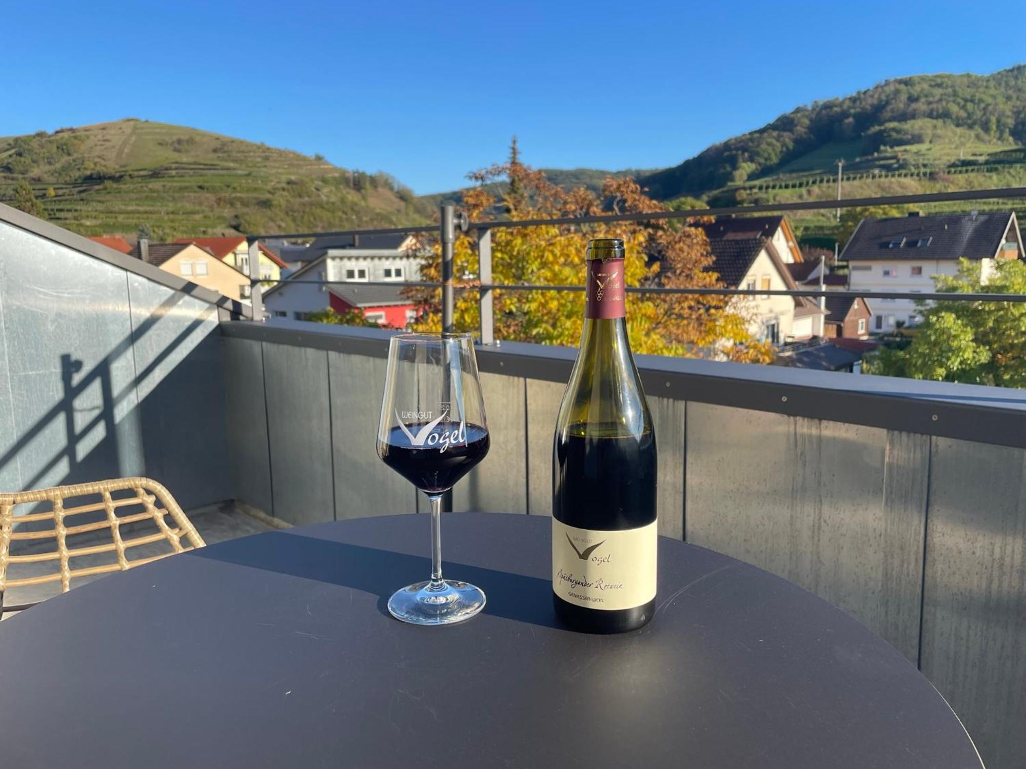 Apartament Weingut & Strausswirtschaft Vogel Vogtsburg im Kaiserstuhl Zewnętrze zdjęcie
