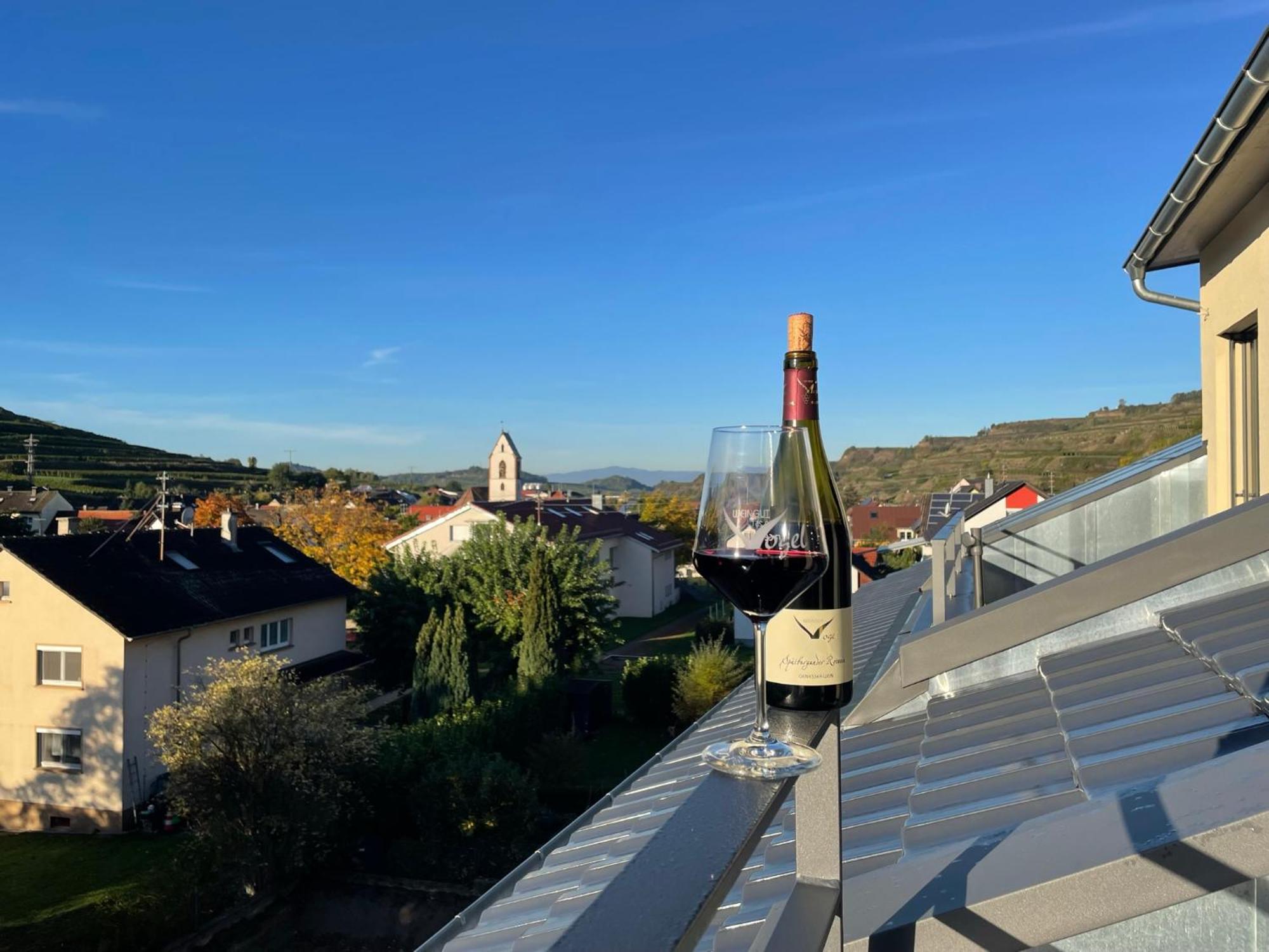 Apartament Weingut & Strausswirtschaft Vogel Vogtsburg im Kaiserstuhl Zewnętrze zdjęcie