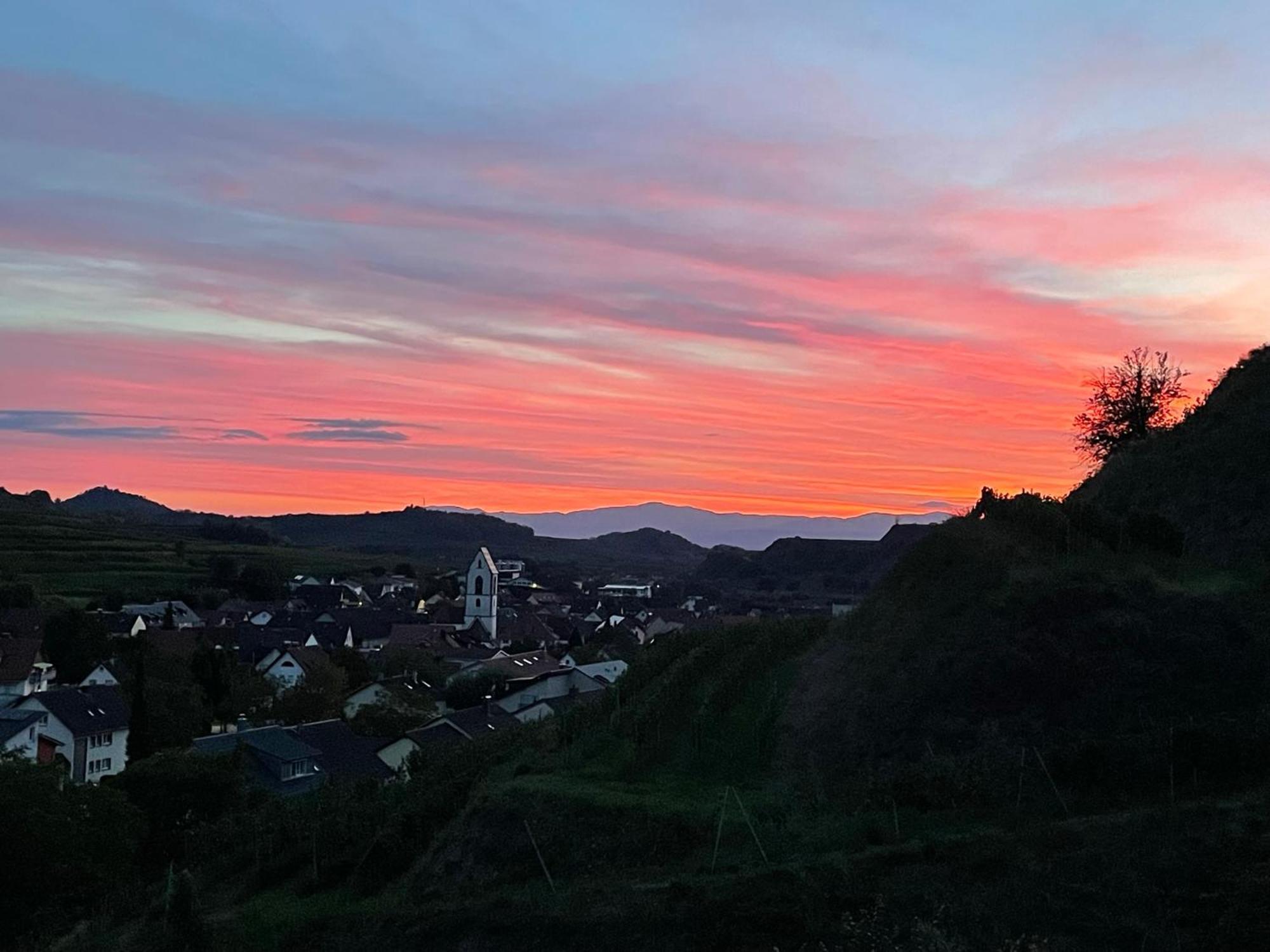 Apartament Weingut & Strausswirtschaft Vogel Vogtsburg im Kaiserstuhl Zewnętrze zdjęcie