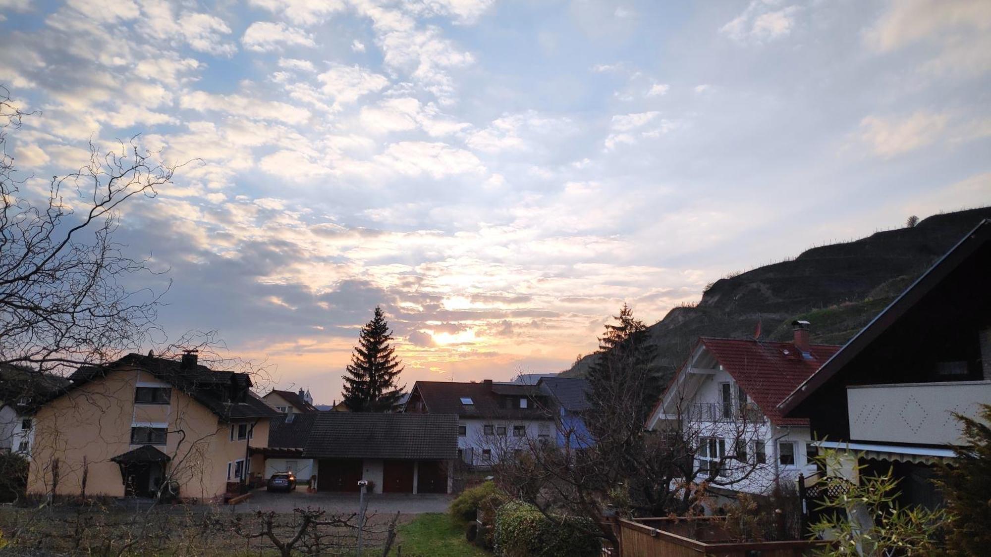 Apartament Weingut & Strausswirtschaft Vogel Vogtsburg im Kaiserstuhl Zewnętrze zdjęcie