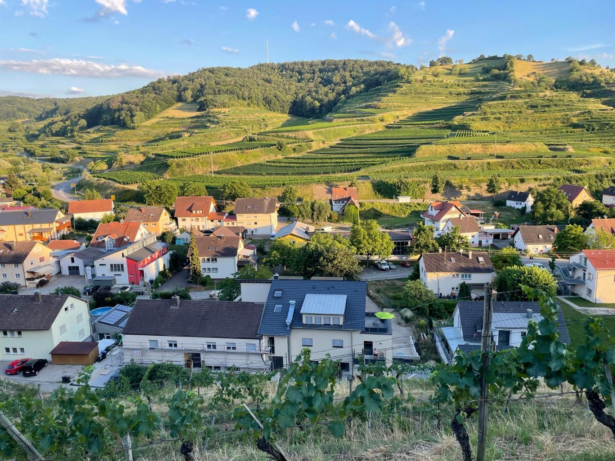 Apartament Weingut & Strausswirtschaft Vogel Vogtsburg im Kaiserstuhl Zewnętrze zdjęcie